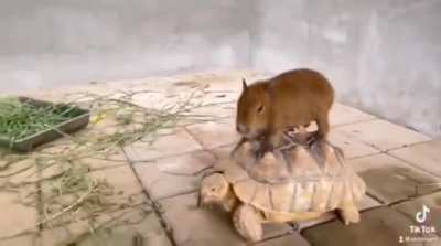 When roles get reversed