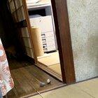 But can ur dog be this cute while playing fetch?