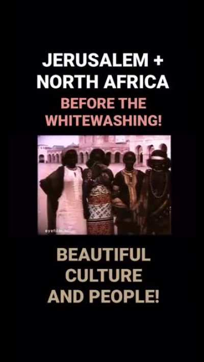 Dear Rock throwers and Ziobots…