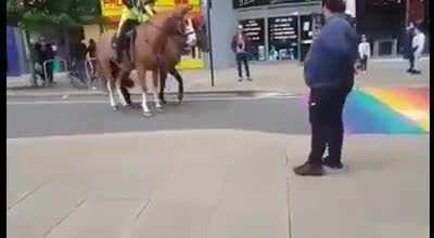 HoMoPhoBic HorSeS bEinG sCarEd bY tHe GaYs