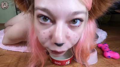 Puppy girl drink from bowl and bites her leash [OC]