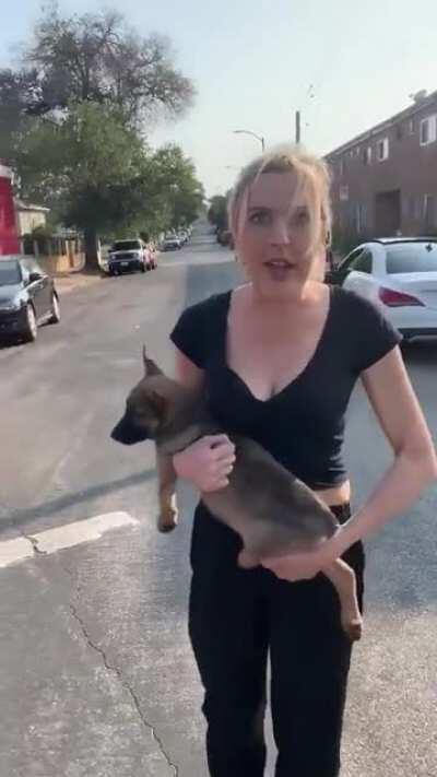 A racist karen threw her dog at a Black man. When he rescues it from her, she accuses him of ‘stealing’