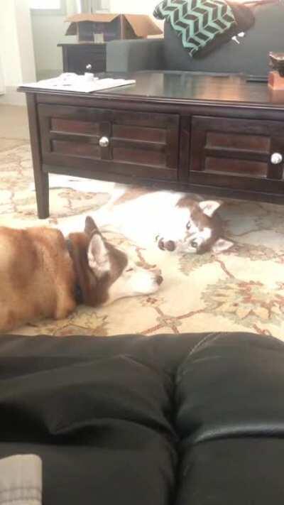 She mad coz bf not talking to her