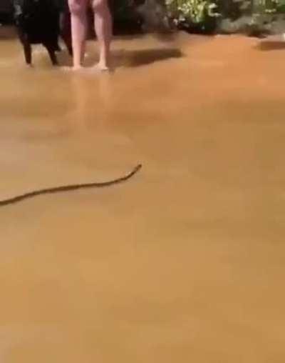 Hey guys! Look! An idiot!