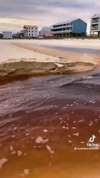 It just kept growing