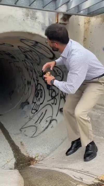 The first one makes me want to say 