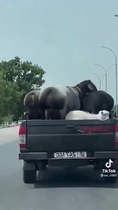 The music makes this even better.