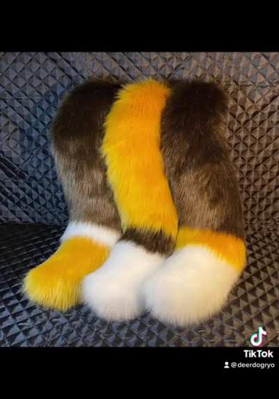 I have a few tails 😋