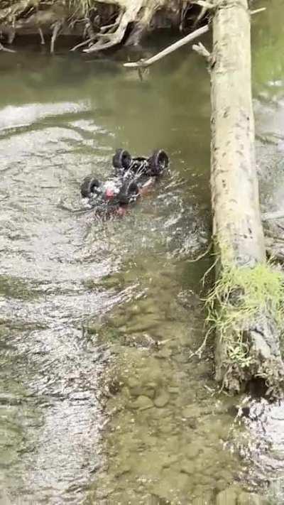 Didn’t think this one through