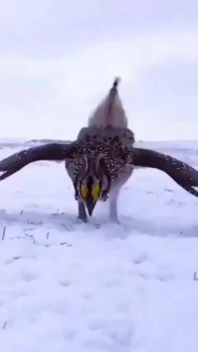 🎶 SHE’S A MANIAC, MANIAC ON THE FLOOR! AND SHE’S DANCING LIKE SHE’S NEVER DANCED BEFORE!🎶 because Derek never took her out dancing, even though she’s obviously fantastic at it