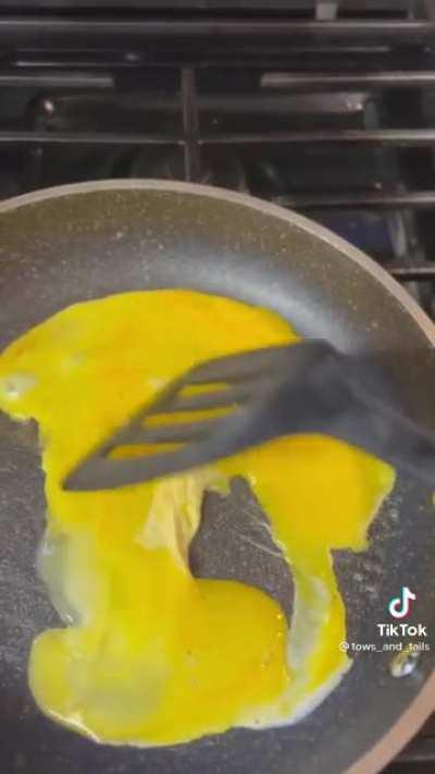 soldier and his raccoons