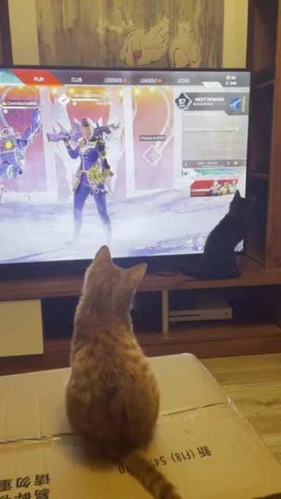 Admittedly the best part of any ranked game this season