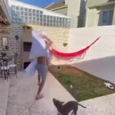 Head gear needed for pillow fights during quarantine