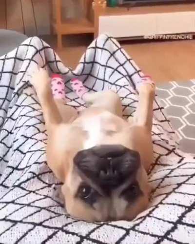 He doesn’t bounce at all