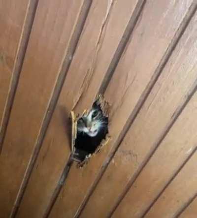 HMC while I instal a skylight