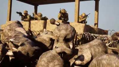 Hello, I found this video and thought you would have as much laugh at this as I did.