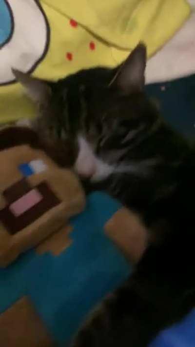 they are such good friends