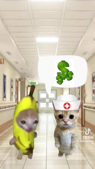 The NDP just dropped this wunker