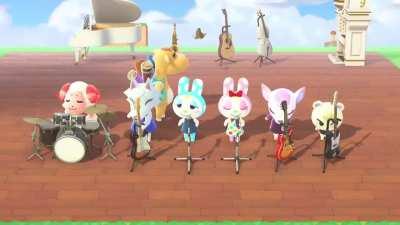 animal crosinifnisnsg