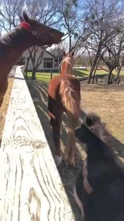 Dizem que perdeu totalmente o olfato.