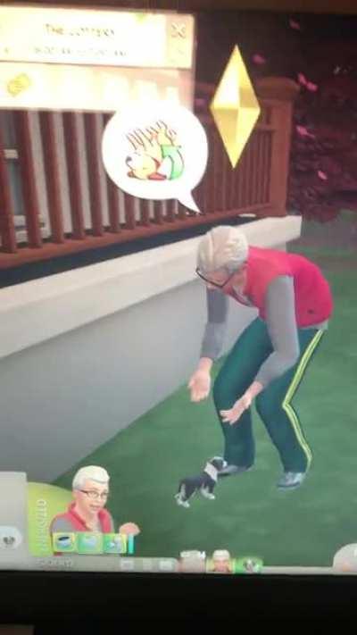 The puppy learned a special trick