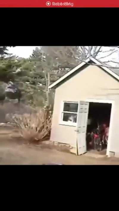 Skateboarding at it’s finest