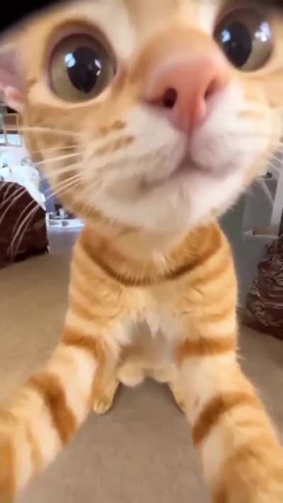 Wunk sees what u doin rn