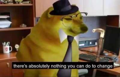 here is the story imma go for