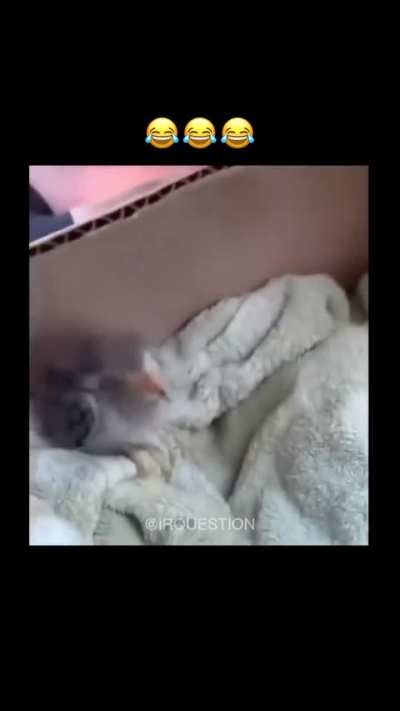 اینجا اتاق کیه؟☠