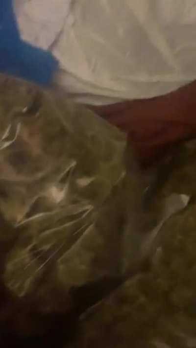 I’ve been a good boy this year 😇