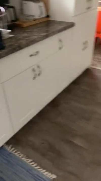 I have the laziest Sous Chef, but damn if he ain’t cute…