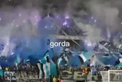 gremio - Video #5391