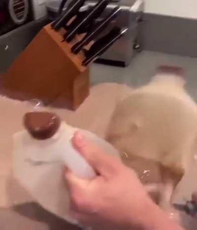 me opening da milk when dad comes home