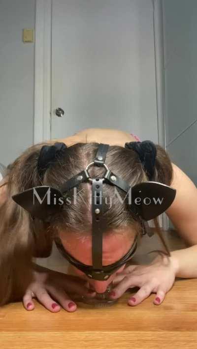 The beginning of the biggest mess I’ve made so far