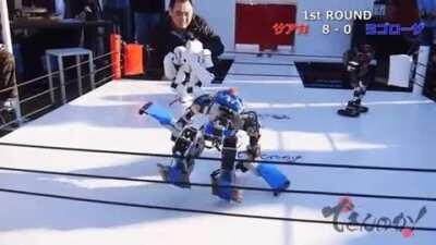Robots are wrestling..
