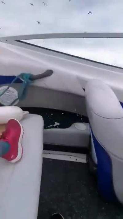 A reason why dark water is scary