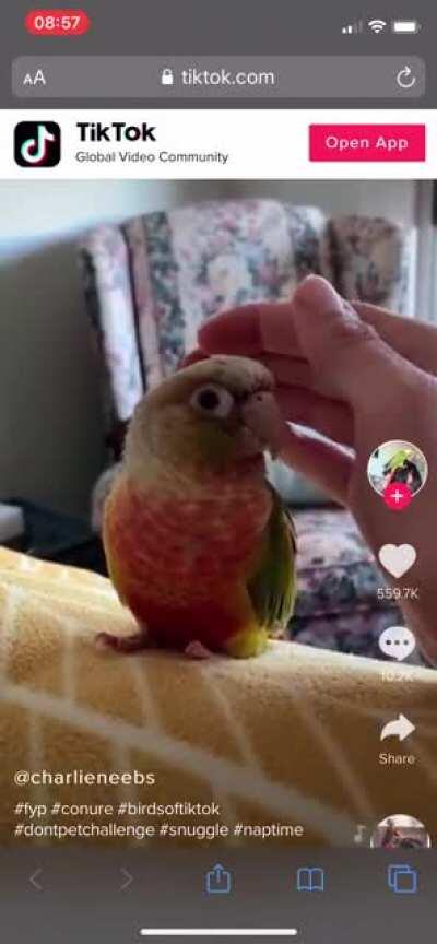 The suspense is killing me...will they or won’t they? Source: user @charlieneebs on TikTok