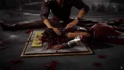 Johnny Cage HD fatality.