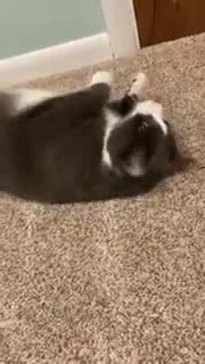 He’s as soft as He looks