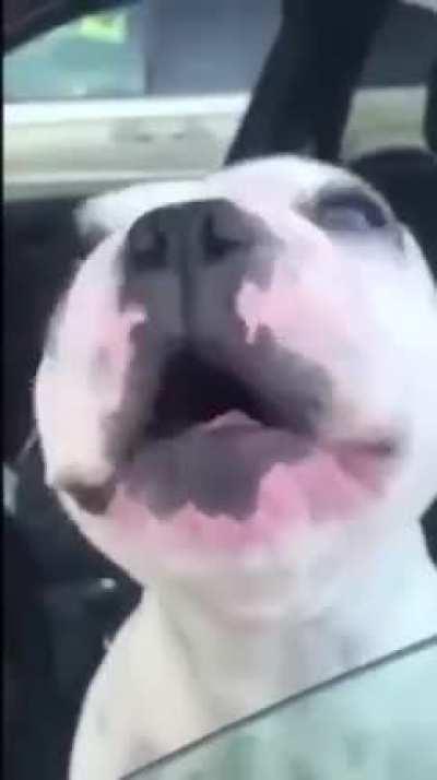 Does anyone have the sheet music for this