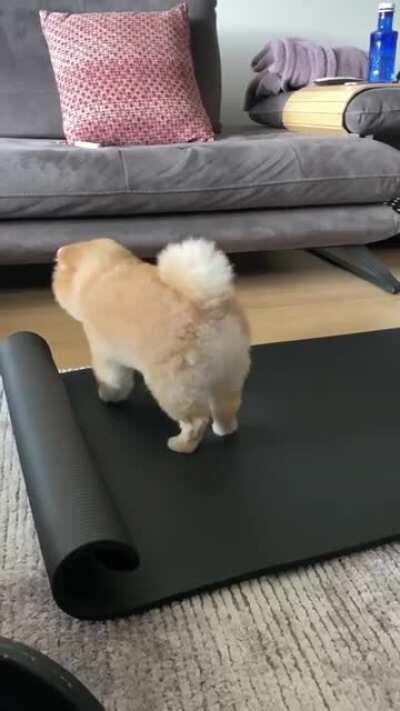 Perfect yoga partner