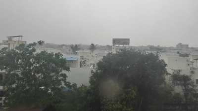 What a pleasant surprise -Summer Rain