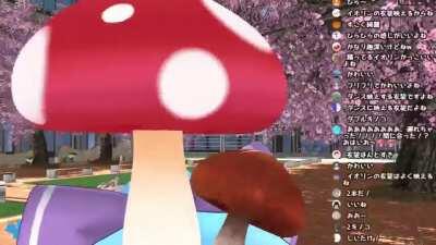 Yamato Iori's Mushrooms