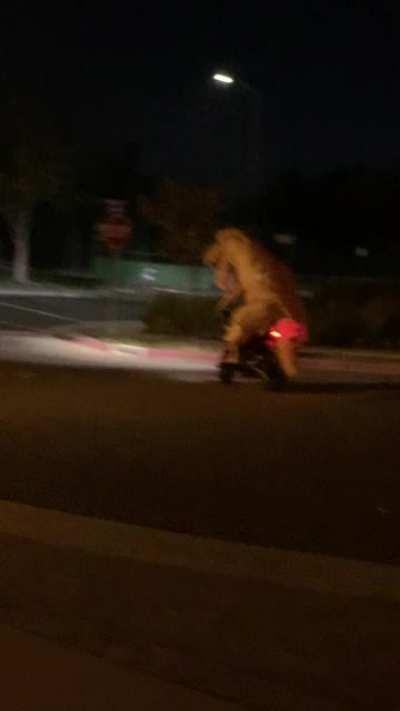 Happy Halloween dorks