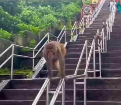 This should be in the Olympics