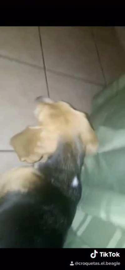 My 5 years-old brother really felt that! 🤭