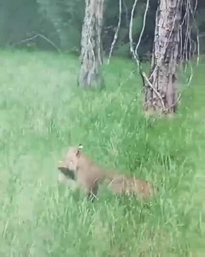 Really wanted to touch it