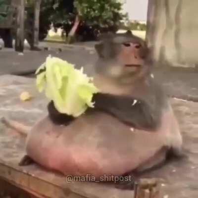 Visão delas depois de vc reagir ao vídeo