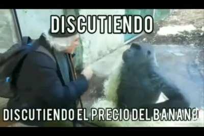 Vete a la verga 89 el kilo