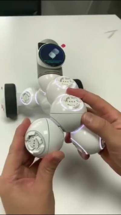 A intenção foi boa, só foi mal executada mesmo